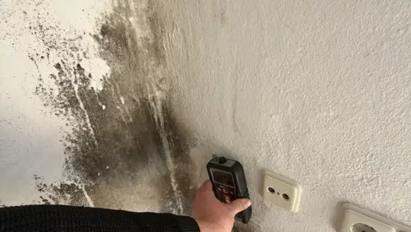 Ein Gerät misst die Feuchtigkeit an einer **schimmeligen Wand**. Dunkle Flecken breiten sich aus.
